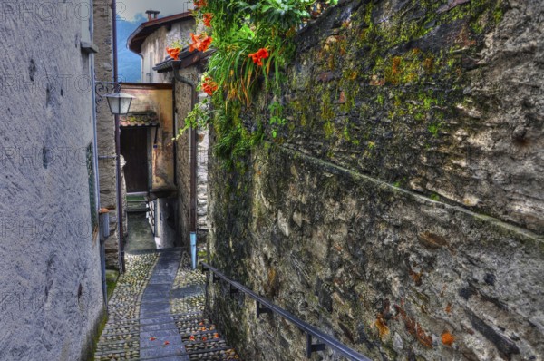 Narrow Street with Old Rustic House and Beautiful Flowers in Ronco sopra Ascona, Ticino,