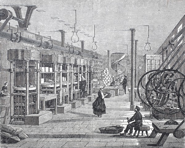 Agriculture, vegetable growing, establishment of a vegetable canning factory, around 1850,