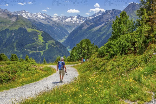 Hiking trail on the Penken with a view of the Stilluptal, Mayrhofen, Zillertal, Zillertal Alps,