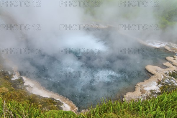 Steaming hot spring with blue water surrounded by green vegetation and rocks, Te Manaroa Spring,