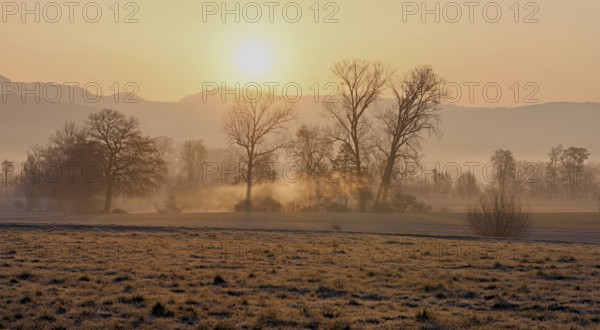Meadows and trees in the early morning mist in the light of the rising sun, Reusstal, Aristau,