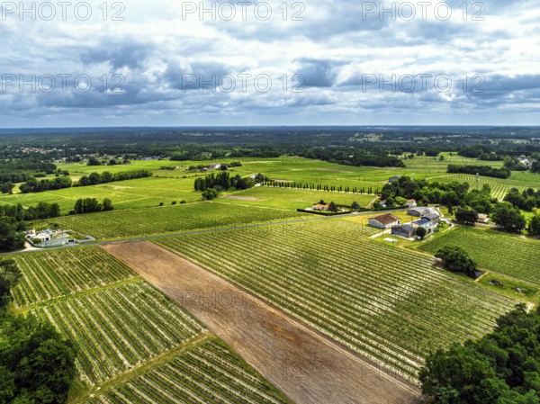 Vineyards and grape fields around Bordeaux from a drone, Saint-Mariens, Gironde,