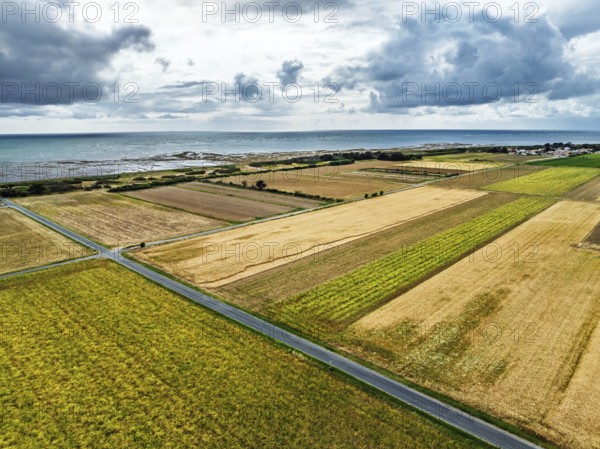 Fields and Grape plantations from a drone, Saint-Clement-des-Baleines, Atlantic, France