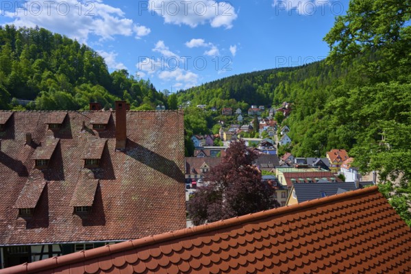 View of a village with red roofs, surrounded by green hills and forests, Triberg im Schwarzwald,