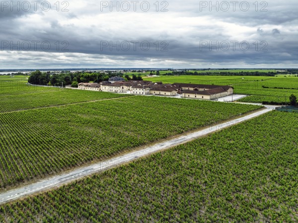Chateau Pontet-Canet Vineyard and grape fields around Pauillac and Gironde Estuary from a drone,
