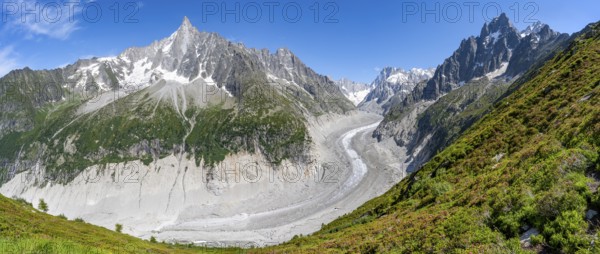 Panorama, Picturesque mountain landscape with blooming alpine roses, imposing mountain peaks and