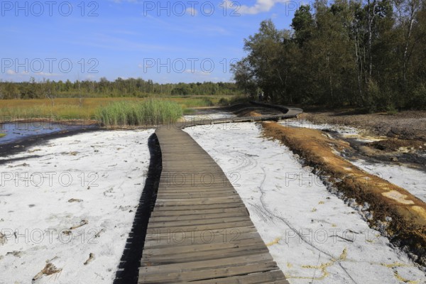 Mineralised water coming to the surface, deposits, formerly boiled down to salts in brewing huts,