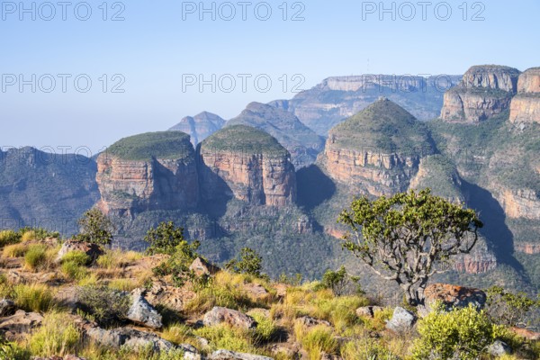 Blyde River Canyon with Three Rondawels peak, view of canyon and table mountains, canyon landscape,