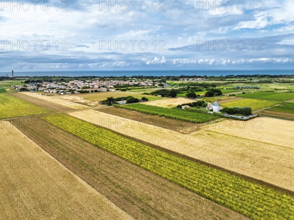 Fields and Grape plantations from a drone, Saint-Clement-des-Baleines, Atlantic, France