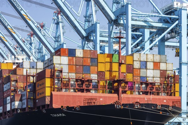 Container ship Tihama from Hapag Lloyd. With a length of 400 metres, the ULCV is one of the largest