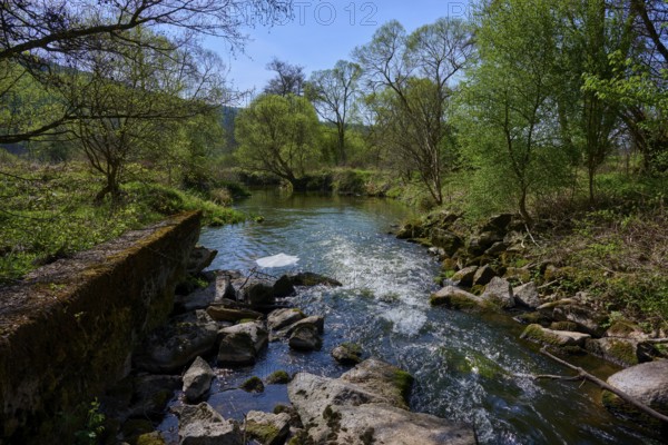 A tranquil river landscape with green trees and stones lining the banks, spring, Burgsinn, Sinntal,