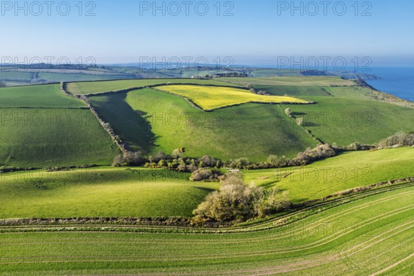 Farms and Fields over Brixham and Kingswear from a drone, Devon, England, United Kingdom