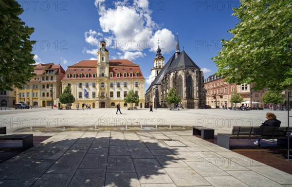 Baroque town hall, Protestant late Gothic St. Mary's Church, town church, and Mohren Pharmacy,