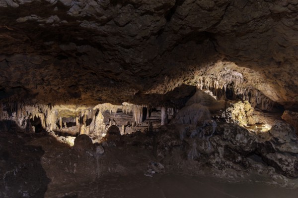 Limestone rock formations in a cave at Florida Caverns State Park in the Florida panhandle near
