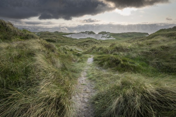 A narrow sandy path leads through a grassy landscape with dunes and dark clouds, near Hvide Sande,