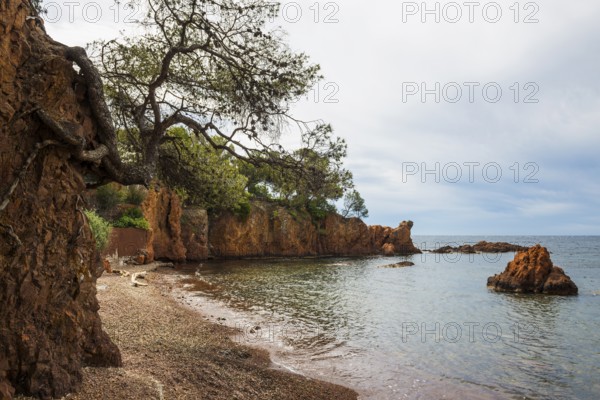 Picturesque beach and red rocks, Calanque des Anglais, Saint-Raphaël, Massif de l'Esterel, Esterel