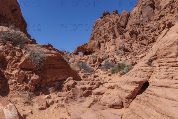 Rock formations along the Fire Canyon Overlook Trail at Valley of Fire State Park near Overton,