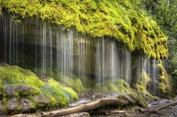 The Dietfurt waterfall, moss and stones, long exposure, Wutach Gorge, Black Forest,