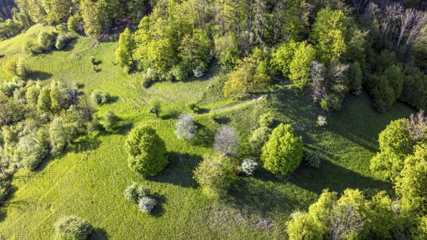 Landscape near Gutenberg, mountains and forest of the Swabian Alb in spring. Lenningen,