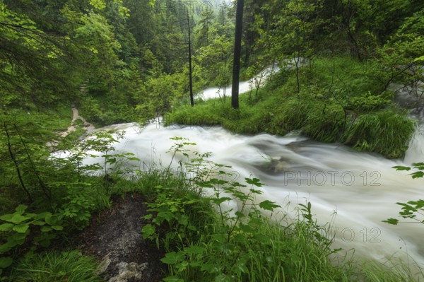 Magical waterfalls in the Weißbachtal valley near Inzell after heavy rain