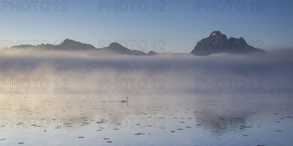 Sunrise at Lake Hopfensee near Füssen, with the Tegelberg massif and the Säuling behind it,
