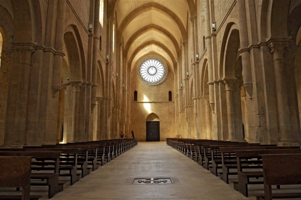 Nave with rose window above portal, interior, Gothic basilica of the Cistercian Abbey of Fossanova,