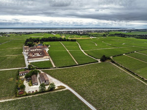 Chateau Pontet-Canet Vineyard and grape fields around Pauillac and Gironde Estuary from a drone,