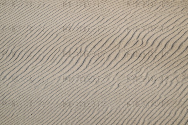 Natural sand patterns with wave-like grooves on a dune, beach near Hvide Sande, North Sea, Denmark