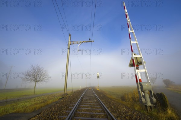 Railroad Tracks in a Foggy Agriculture Field with Bare Tree and Sunlight in Locarno, Ticino,
