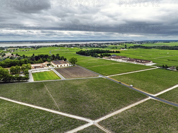 Chateau d'Armailhac Vineyard and grape fields around Pauillac and Gironde Estuary from a drone,