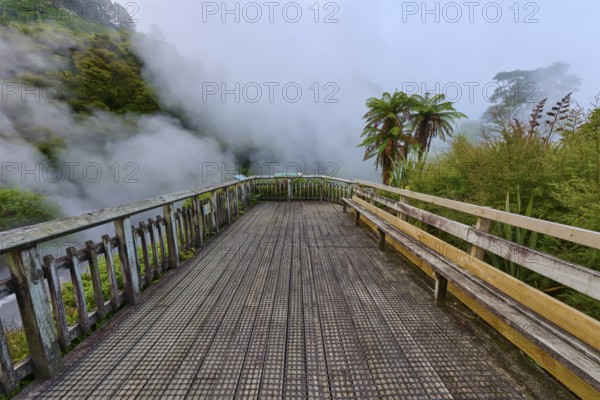 Viewing platform in a steamy, misty environment surrounded by nature, Te Manaroa Spring, Hot