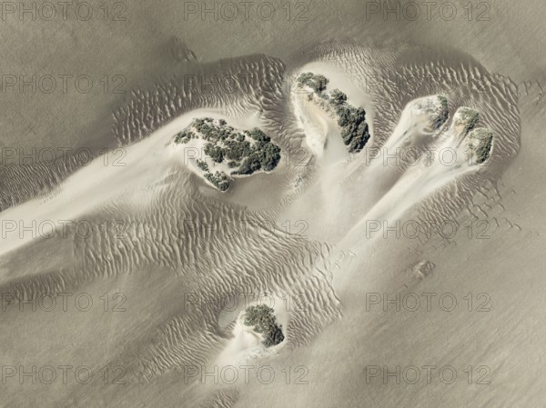 Small sand heaps form around the sparse vegetation in the Namib Desert. Aerial view. Drone shot.