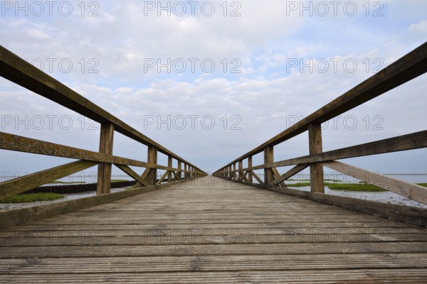 Wooden walkway in the Wadden Sea, Wadden Sea National Park, North Frisia, Schleswig-Holstein,