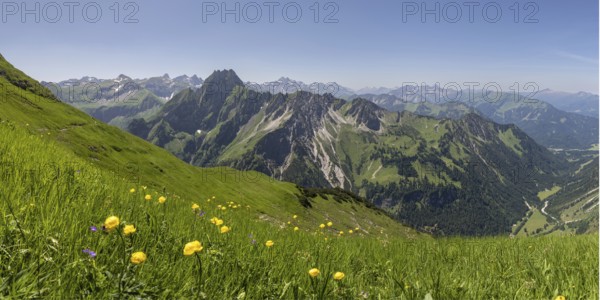 Mountain panorama with troll flowers (Trollius europaeus) from Laufbacher-Eckweg to Höfats, 2259m,