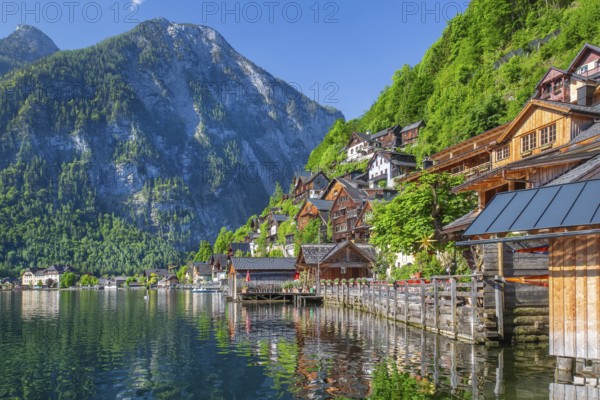 Houses on the steep bank above the lake, Hallstatt, Lake Hallstatt, UNESCO World Heritage Site,
