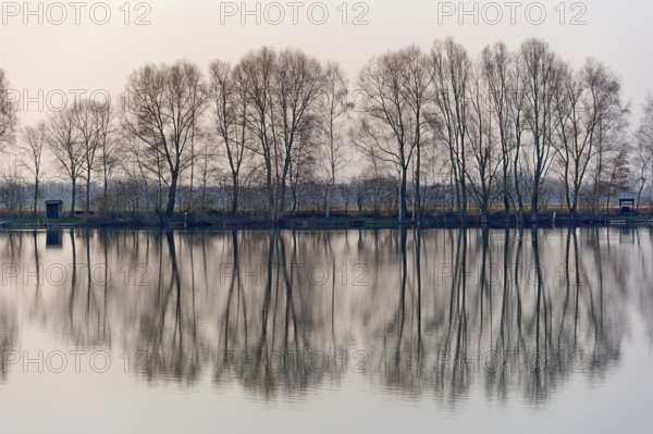 Evening mood at Moosinninger Weiher, quarry pond, fishing pond for carp, reflection of the trees on