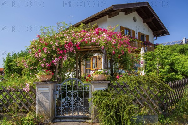 Rose arch over garden gate to Upper Bavarian country house, Ohlstadt, Loisach Valley, The Blue