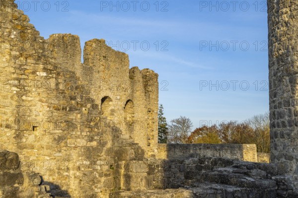 Mighty castle ruins on a hill in the evening sun, surrounded by landscape and trees, Wolfstein