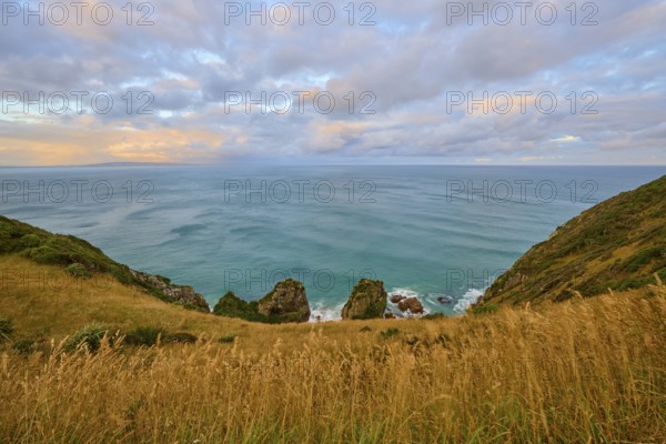 Grassy cliffs spread over coastal hills overlooking the sea, summer, Nugget Point Lighthouse,