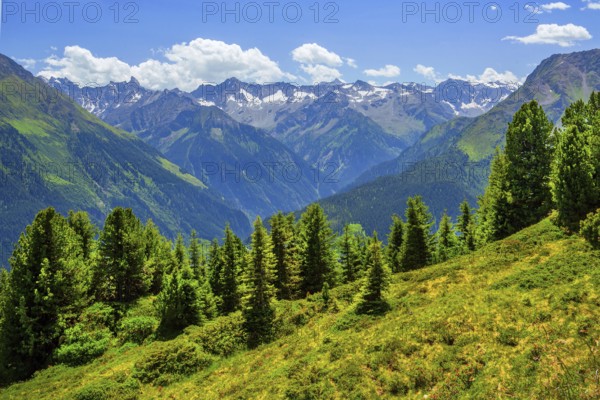 Mountain landscape in the Penken hiking area, Mayrhofen, Zillertal, Zillertal Alps, Tyrol, Austria