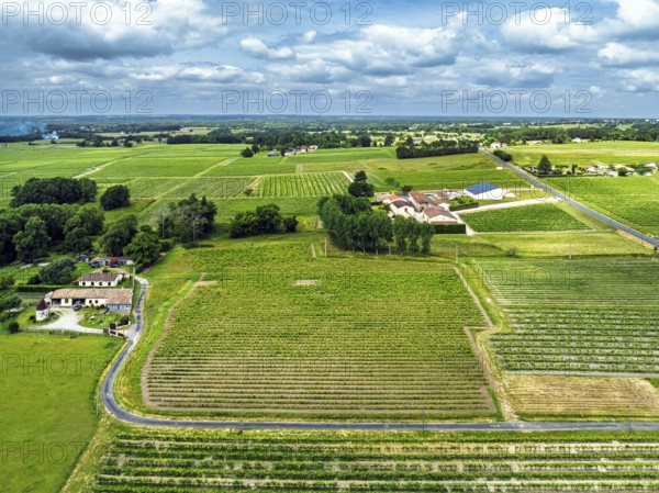 Vineyards and grape fields around Bordeaux from a drone, Saint-Mariens, Gironde,