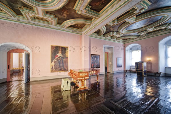 Panelled chamber with valuable historical coffered ceiling, Museum Zeitzer Schloss Moritzburg,
