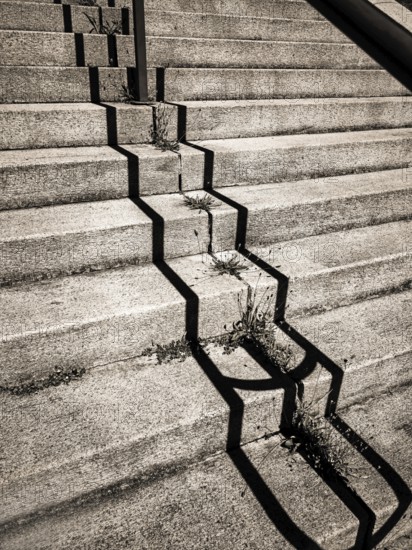 Uneven concrete steps in an urban area expose cracks filled with weeds growing in the crevices.