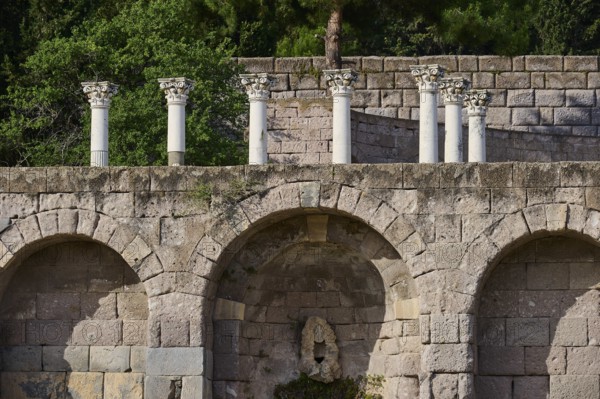 Ancient stone structure with columns and overgrown trees in the background, arcade, lower terrace,