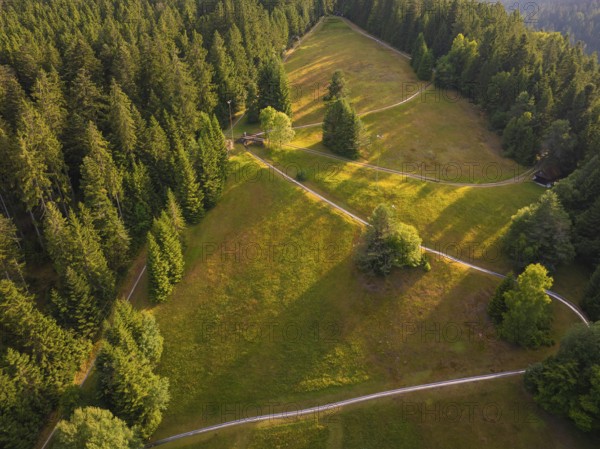 View from above of forest and slope in golden sunlight, with winding paths, Retro Freizeitpark