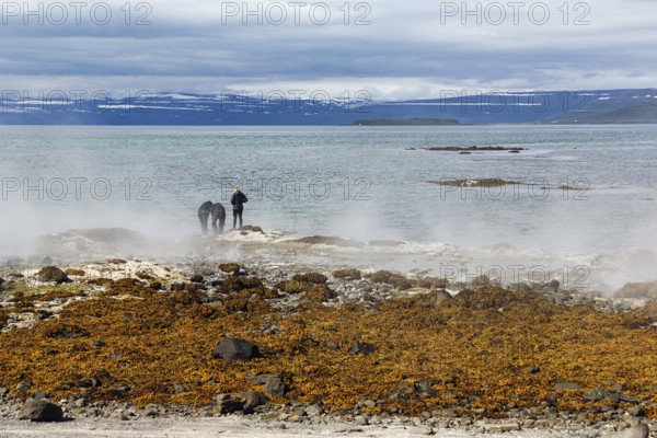 Hot spring flows into the sea, tourists on the steaming rocky coast near Reykjanes, Súðavík,