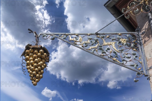 Nose sign with bunch of grapes at a wine bar, Kirchenstraße 2, Erlangen, Middle Franconia, Bavaria,