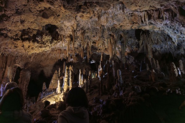 Tourists walking past limestone rock formations in a cave at Florida Caverns State Park in the