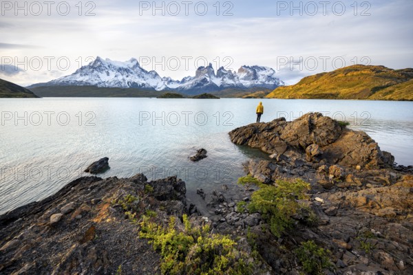 Young man on the shore of the blue lake Lago Pehoe in the evening light, Cuernos del Paine mountain
