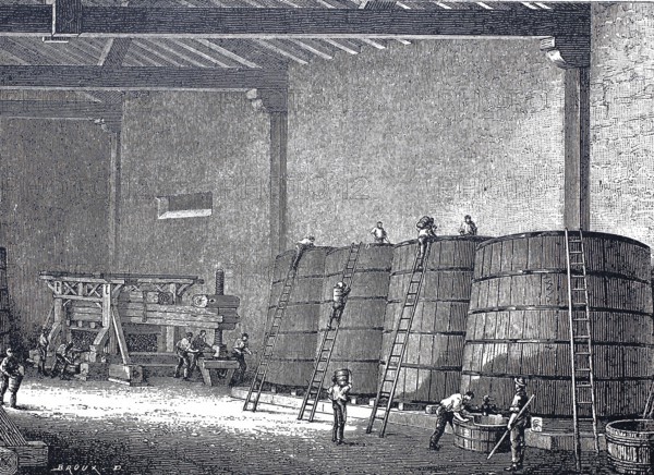 Wine production, view into a fermentation cellar, in the background an old wooden press, around